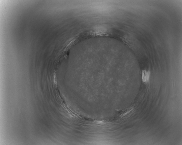 X0000064051155200602101443