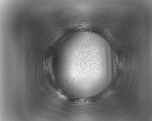 X0000064051156200602101443