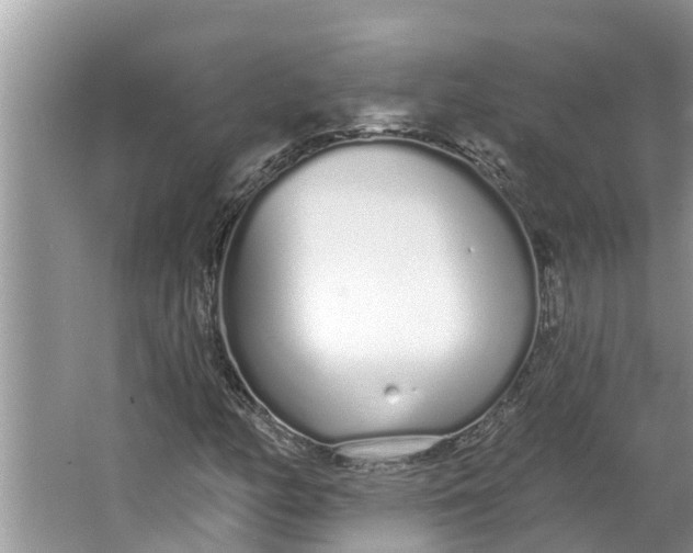 X0000064051158200602101443