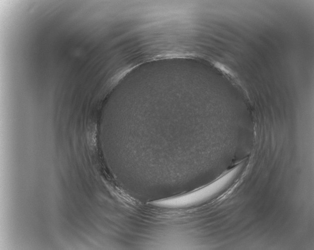 X0000064051161200602101443