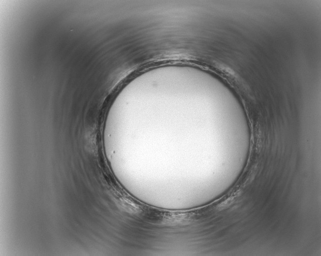 X0000064051162200602101443