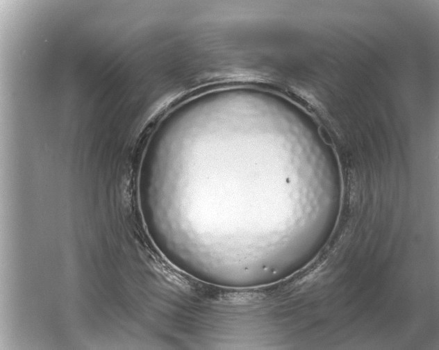 X0000064051163200602101443