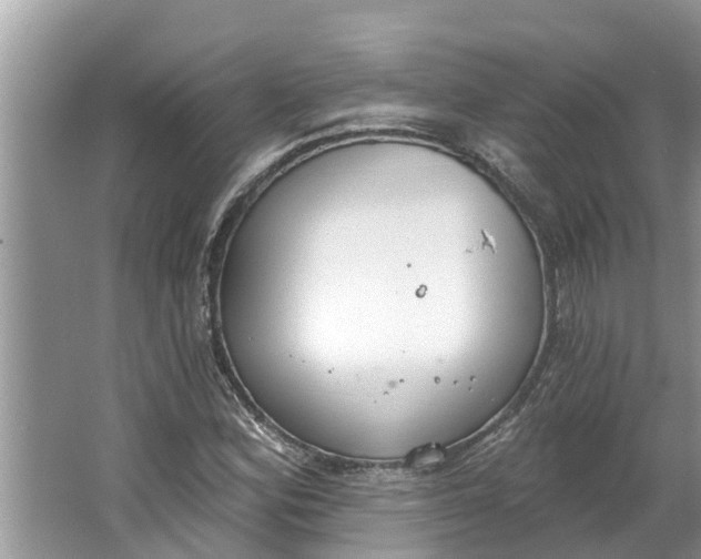 X0000064051164200602101443