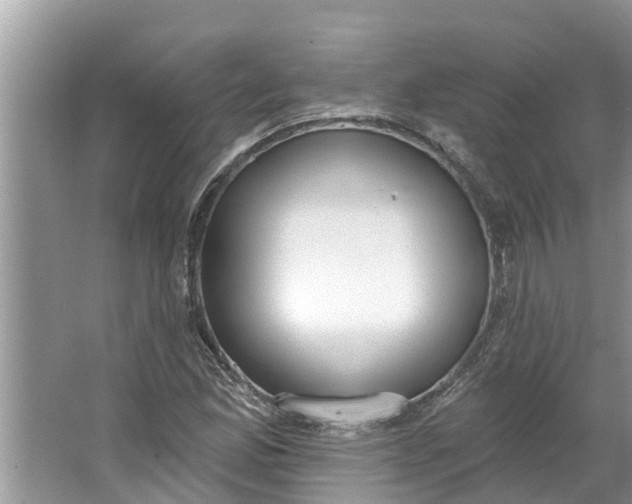 X0000064051165200602101443