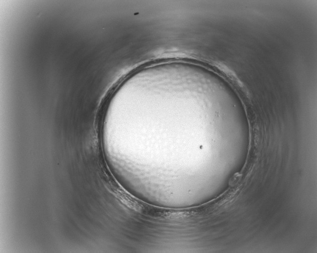 X0000064051167200602101443