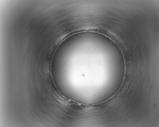 X0000064051169200602101443