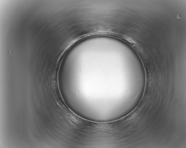 X0000064051170200602101443