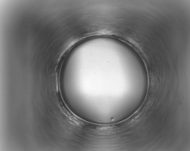 X0000064051171200602101443