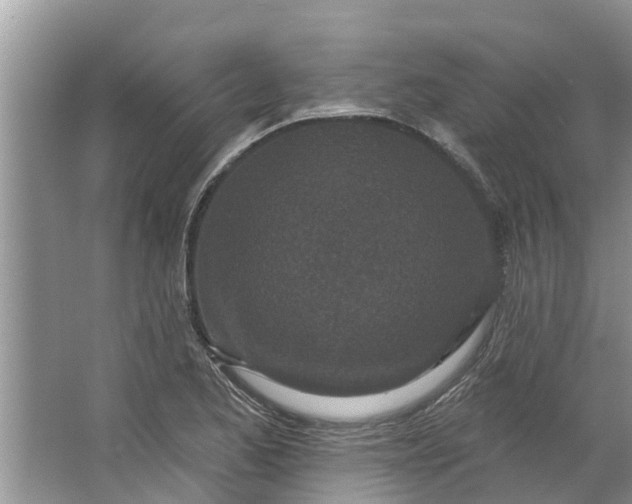 X0000064051173200602101443