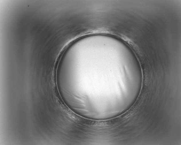 X0000064051174200602101443