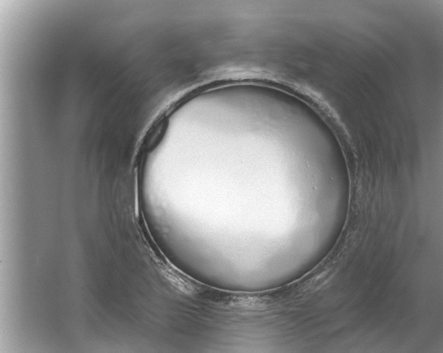 X0000064051175200602101443