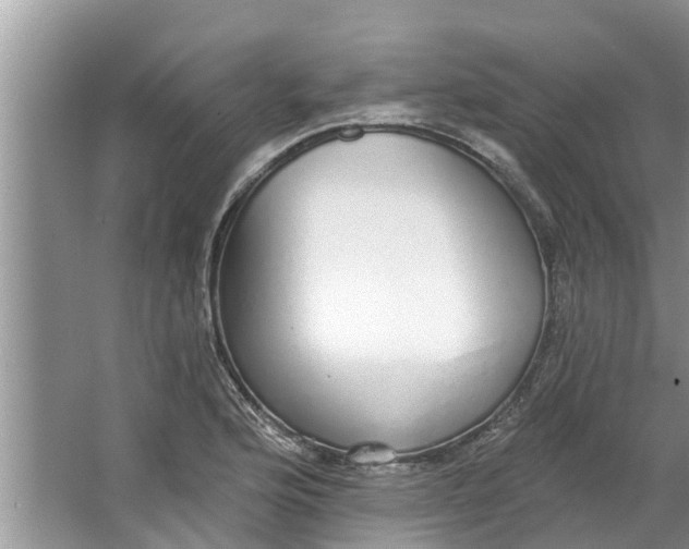 X0000064051176200602101443