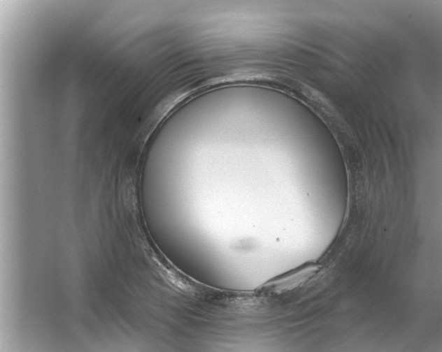 X0000064051177200602101443