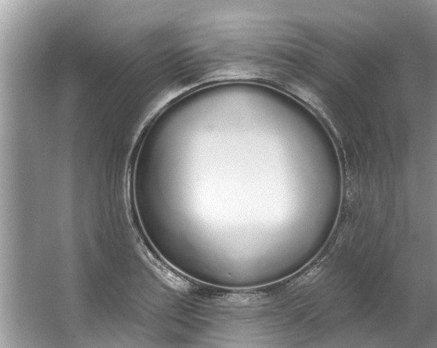 X0000064051179200602101443