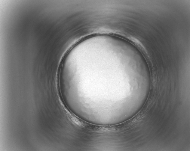 X0000064051183200602101443