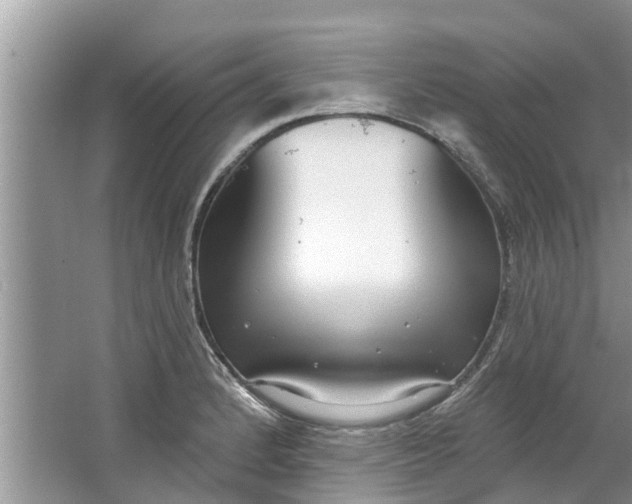 X0000064051184200602101442