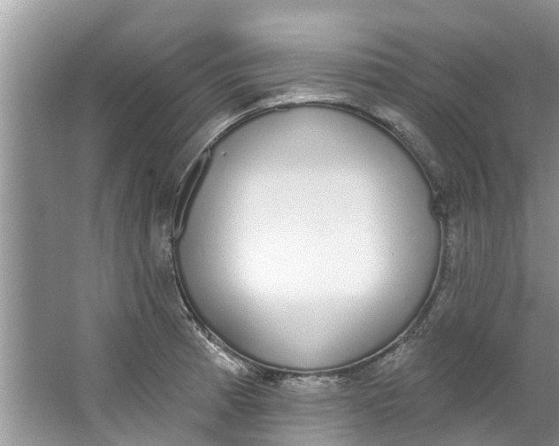 X0000064051185200602101442