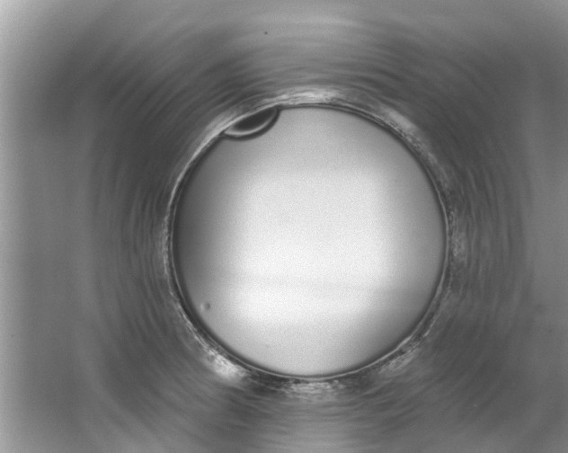 X0000064051186200602101442