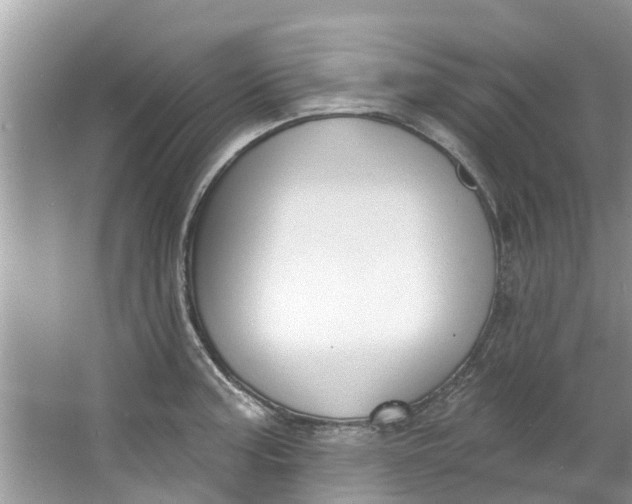 X0000064051187200602101442