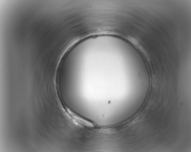 X0000064051189200602101442