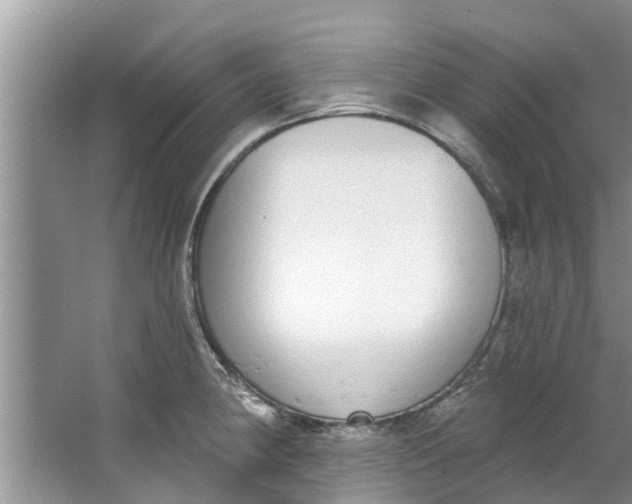 X0000064051190200602101442