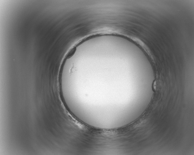 X0000064051191200602101442