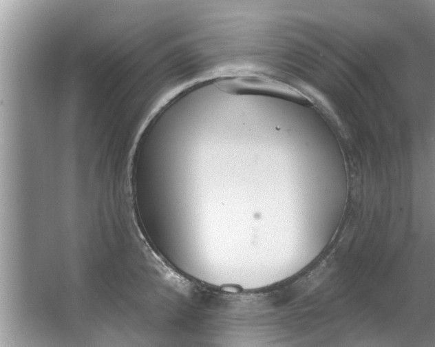 X0000064051192200602101442