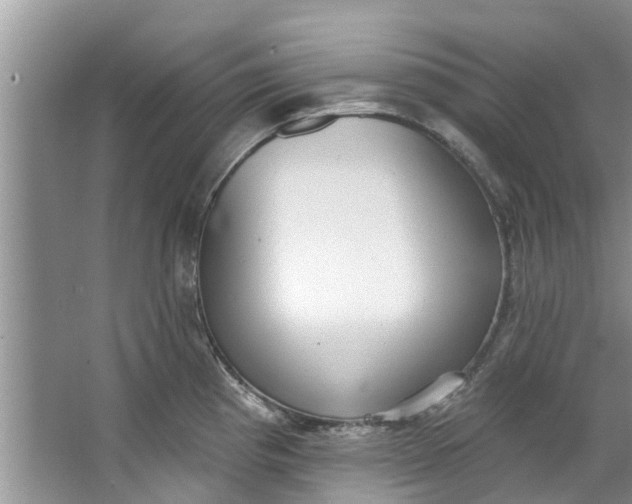 X0000064051193200602101442