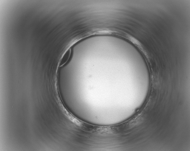 X0000064051194200602101442