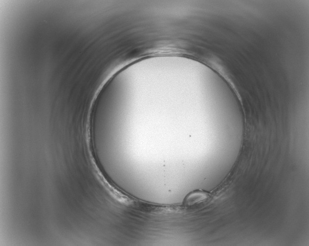 X0000064051195200602101442