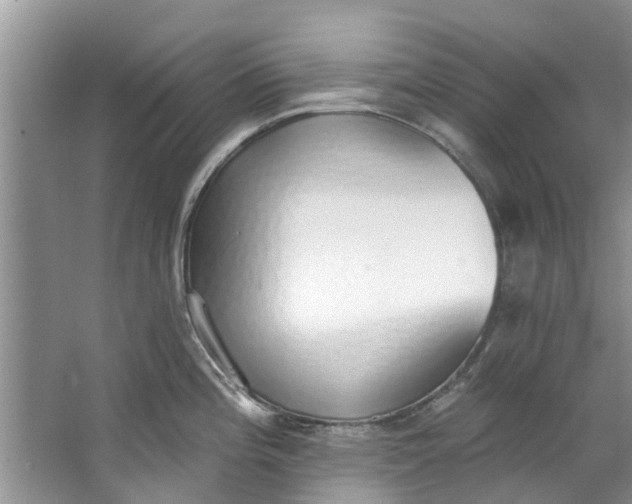 X0000064051196200602101442