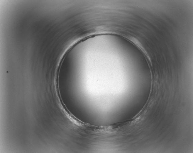 X0000064051197200602101442