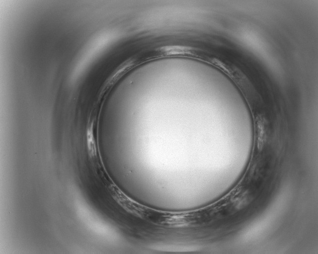 X0000064051198200602101442