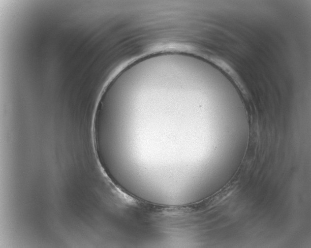 X0000064051199200602101442