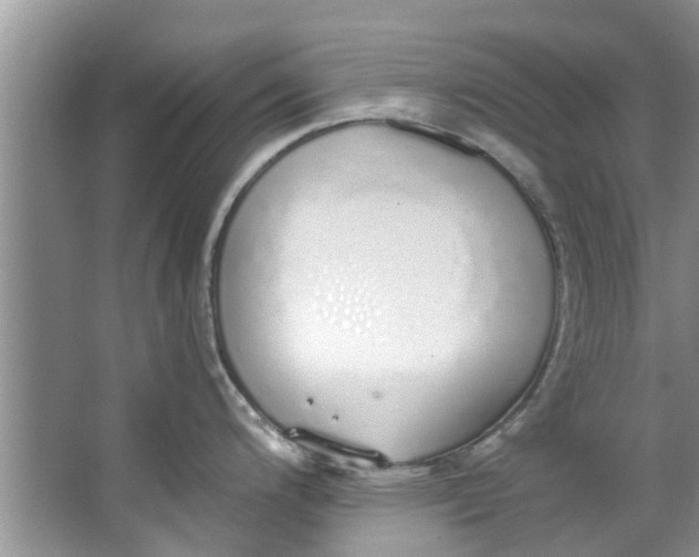 X0000064051200200602101442