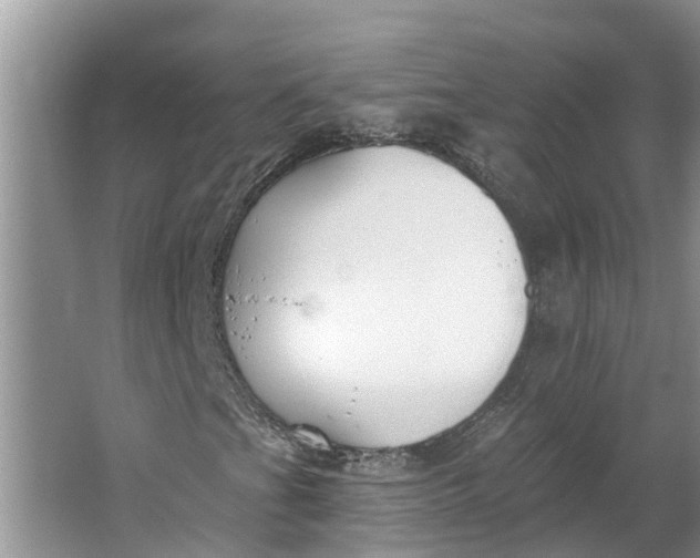 X0000064051201200602101441