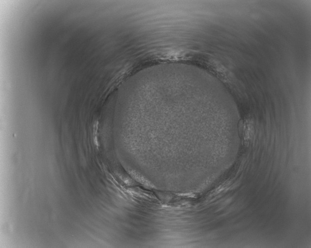 X0000064051202200602101441