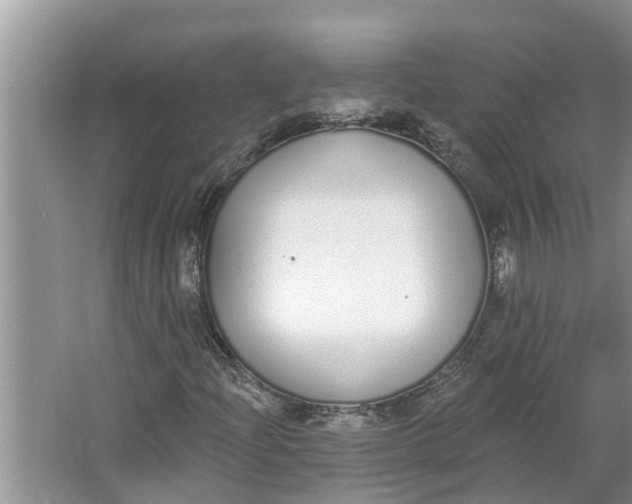 X0000064051204200602101441