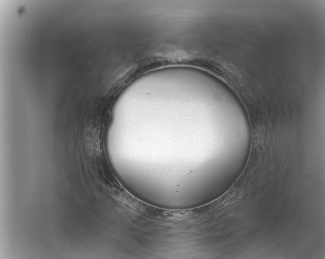 X0000064051205200602101441