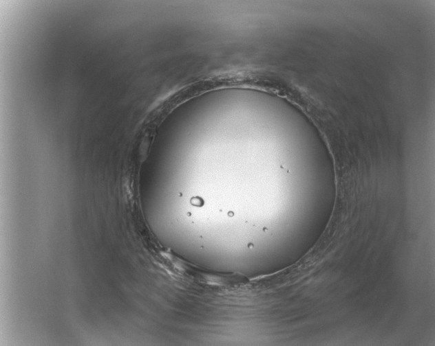 X0000064051206200602101441