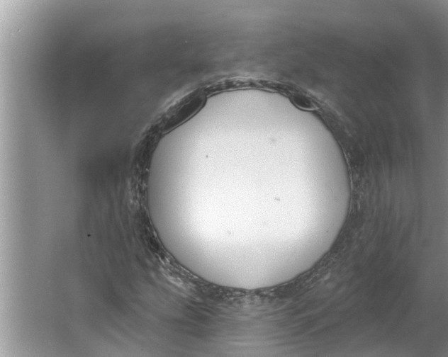 X0000064051207200602101442