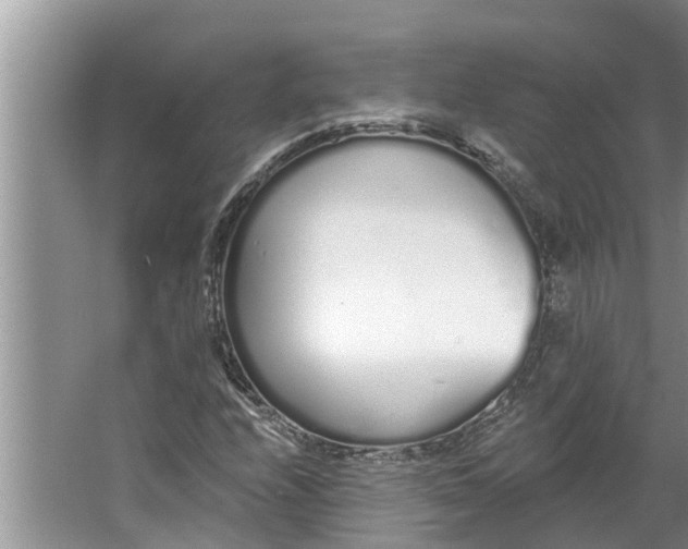 X0000064051208200602101442