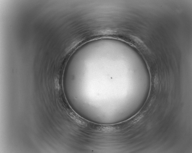 X0000064051209200602101442