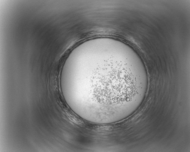 X0000064051211200602101442