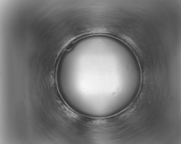 X0000064051212200602101442