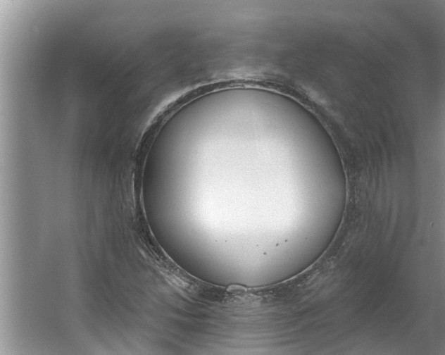 X0000064051214200602101442