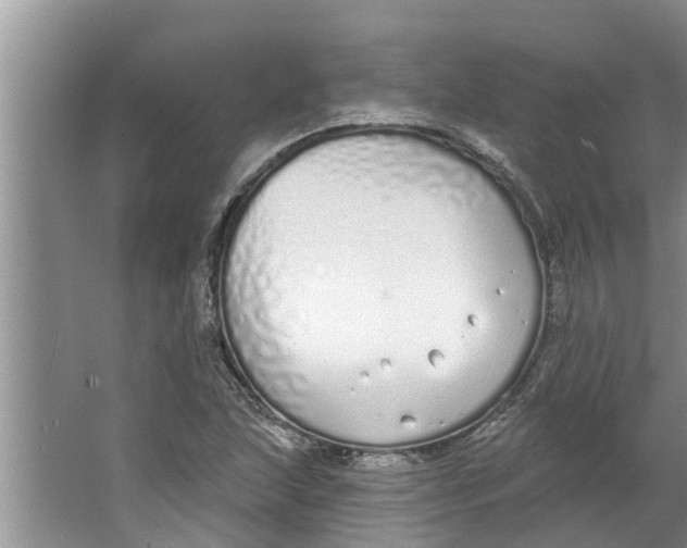 X0000064051215200602101442