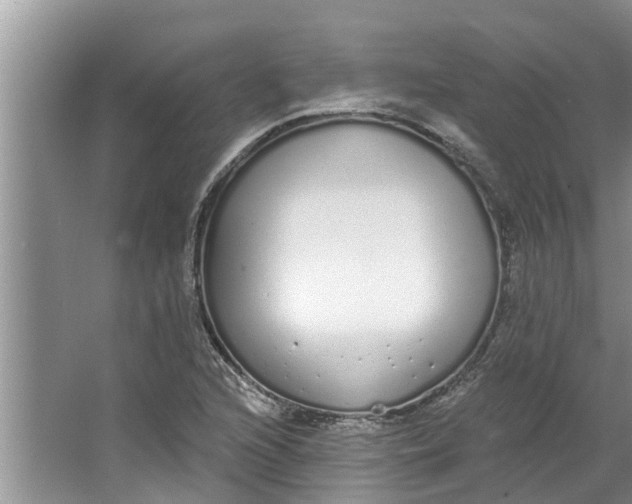 X0000064051216200602101442