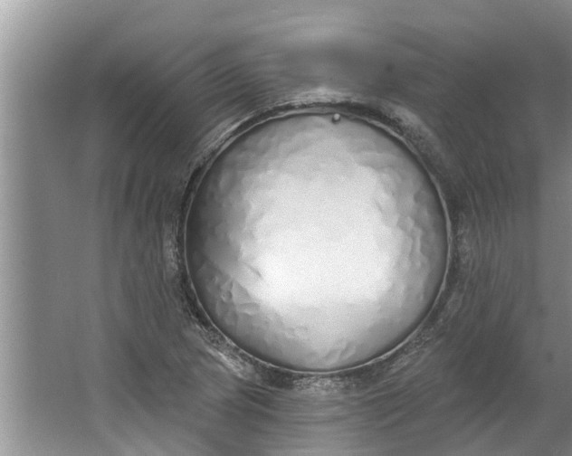 X0000064051217200602101442