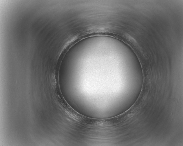 X0000064051218200602101442